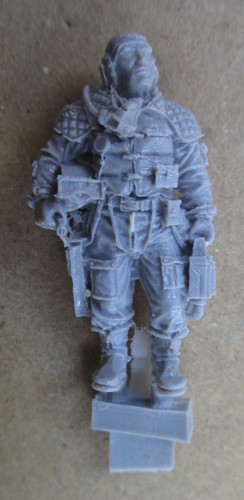 D26c22 imperial navy forge - navy,