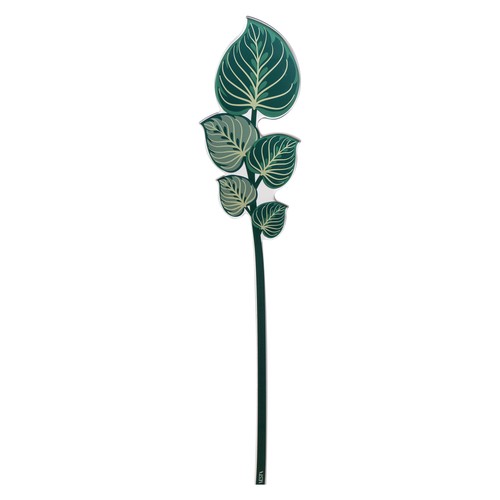 Foglia maranta piccola kit - piccola, 6