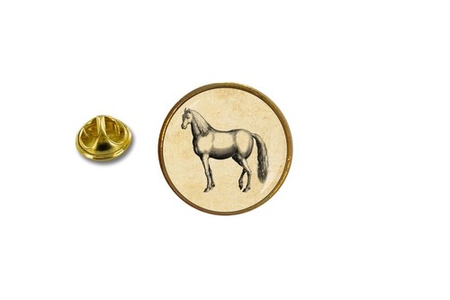 Spilla pin badge - pin, pin's