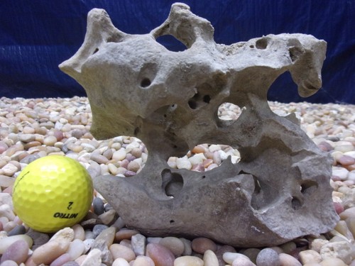 Texas holey rock - texas/tn,
