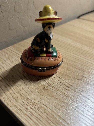 Sombrero cane chihuahua