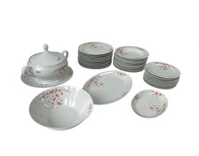 Servizio piatti da 12 porcellana Bavaria Winterling schwarzenbach vintage Flower