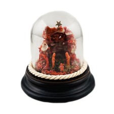 Presepe natività corallo rosso naturale presepe artigianale Torre del Greco