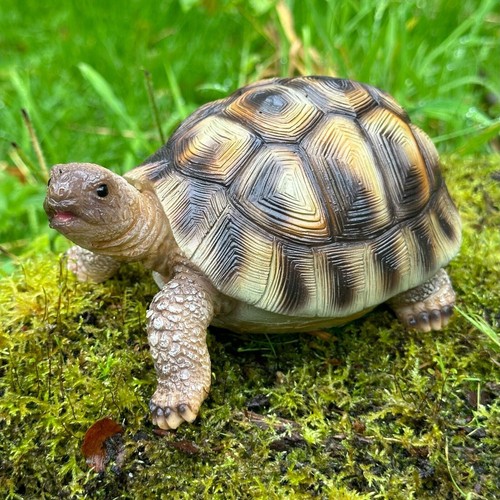 Tortoise garden ornament - tortoise,