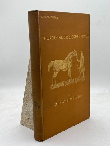 Thoroughbred other ponies - &,