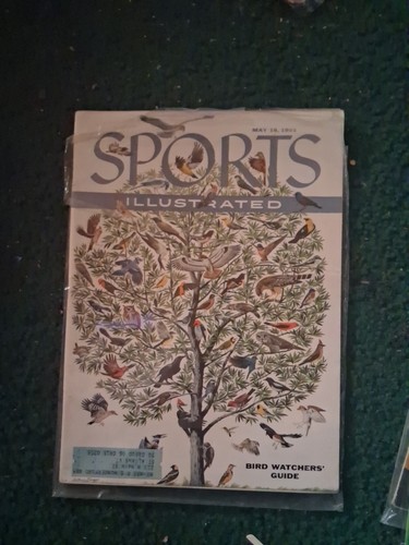 Sport illustrato vintage - sport,