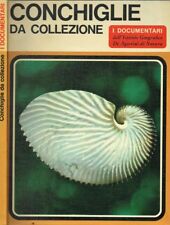 CONCHIGLIE DA COLLEZIONE. 