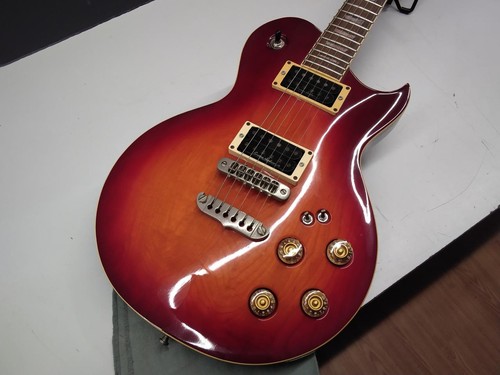 Chitarra elettrica aria - elettrica, pro
