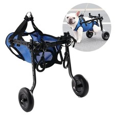 Carrozzina cane disabile - cane,
