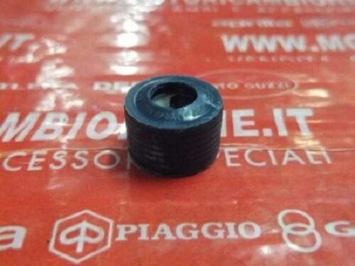 4352035 paraolio pompa acqua - 4352035,