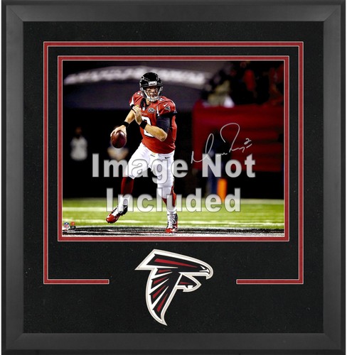 Falcons deluxe 16x20 - falcons,