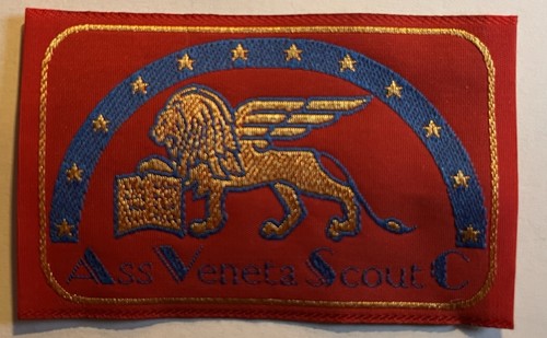Scout distintivo associazione - distintivo,
