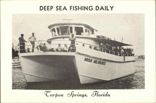 Flash jarocki tarpon springs - flash,
