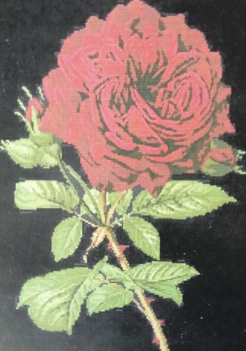 Artecy duchessa dino rose - di,