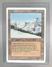 Taiga 1993 Magic: The