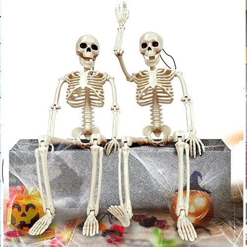 Scheletro umano halloween - umano,
