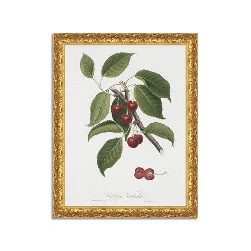 Quadro stampa tela - quadro,
