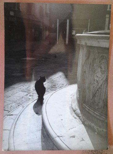 Foto cartolina fotocartolina - fotocartolina,