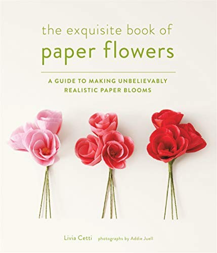 The exquisite book paper - book, of