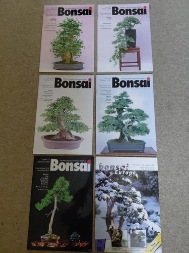 Bonsai magazine bundle - bonsai,