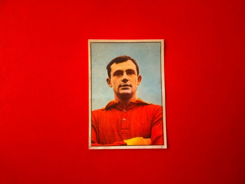 Salvori album figurine - salvori,
