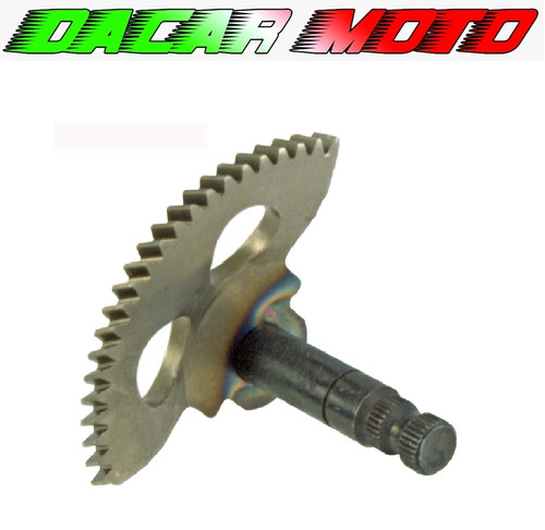 Settore messa moto - moto, malaguti