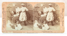 Stereo View Card - Have Dinner