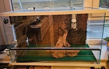 Rettilario COMPLETO in vetro 40x80x50h con parete In Sughero 