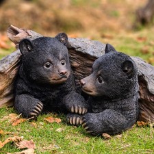 Orso nero cuccioli