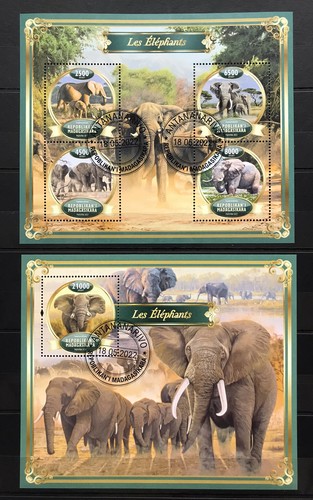 Elefanti elefante slon - elefanti,
