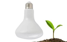 Lampada Led per Piante