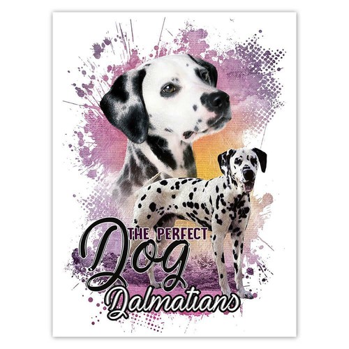 Adesivo regalo cane dalmata - adesivo,