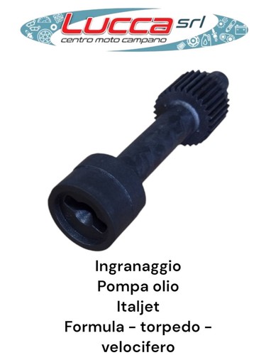 Fm181204 ingranaggio pompa - fm181204,