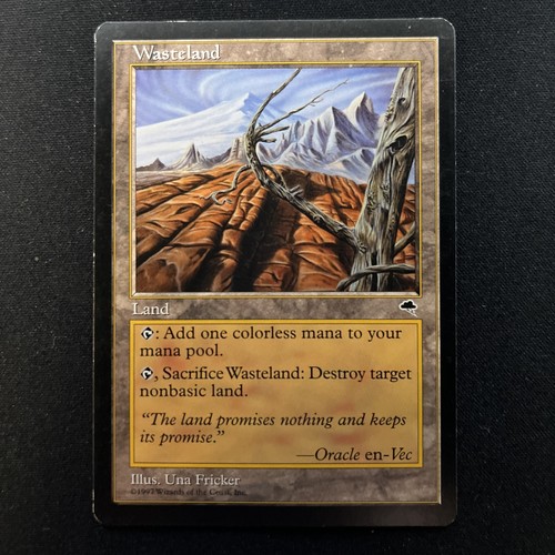 Mtg wastland tempest lp - wastland,