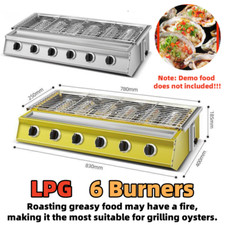 6 Burners BBQ Grill Picnic