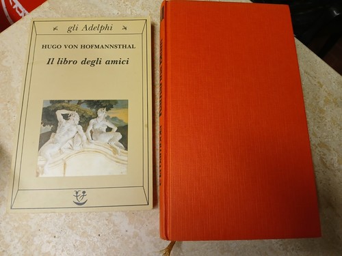Hofmannsthal libro degli - libro,