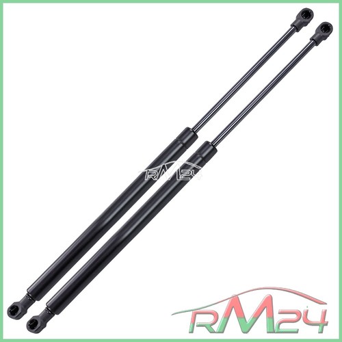Ammortizzatore gas - 2x,