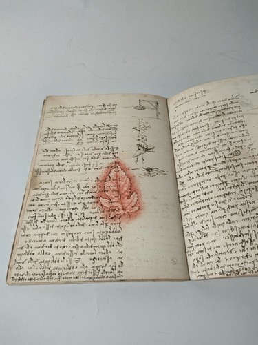 Volo degli uccelli codice - il,