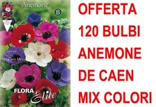 OFFERTA 120 BULBI AUTUNNALI