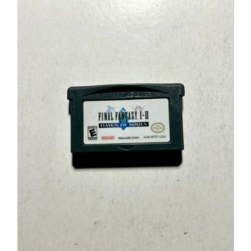 Final fantasy game - ii, boy