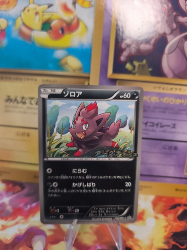 Carta pokemon card zorua - card,