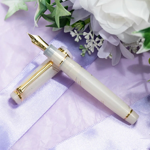 Penna stilografica sailor - stilografica,