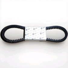 1A016415 - CINGHIA
