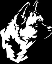 Adesivo AMERICAN AKITA -
