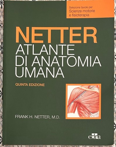 Netter atlante anatomia - atlante,