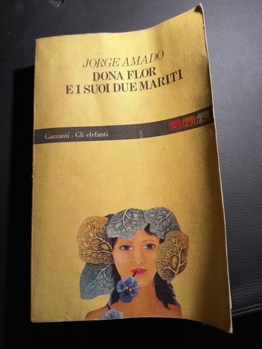 Dona flor suoi due - dona,