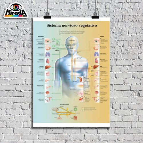 Poster benessere sistema - benessere,