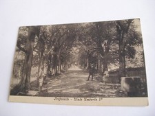 Torino - Trofarello Viale Umberto I - spedita f. p. 1915