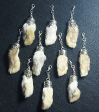 Zampa di coniglio coniglio