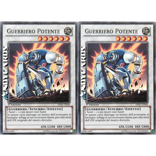 Guerriero potente - 2x, •